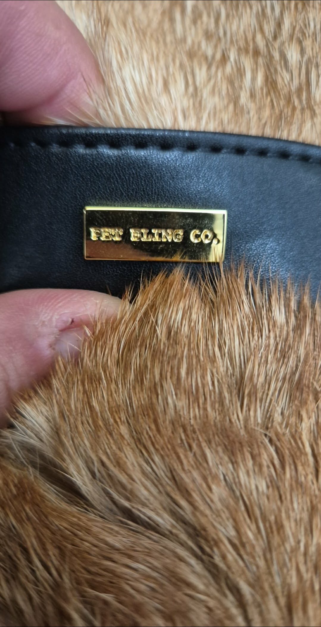 Close-up of a gold tag on a black leather product with fur texture.