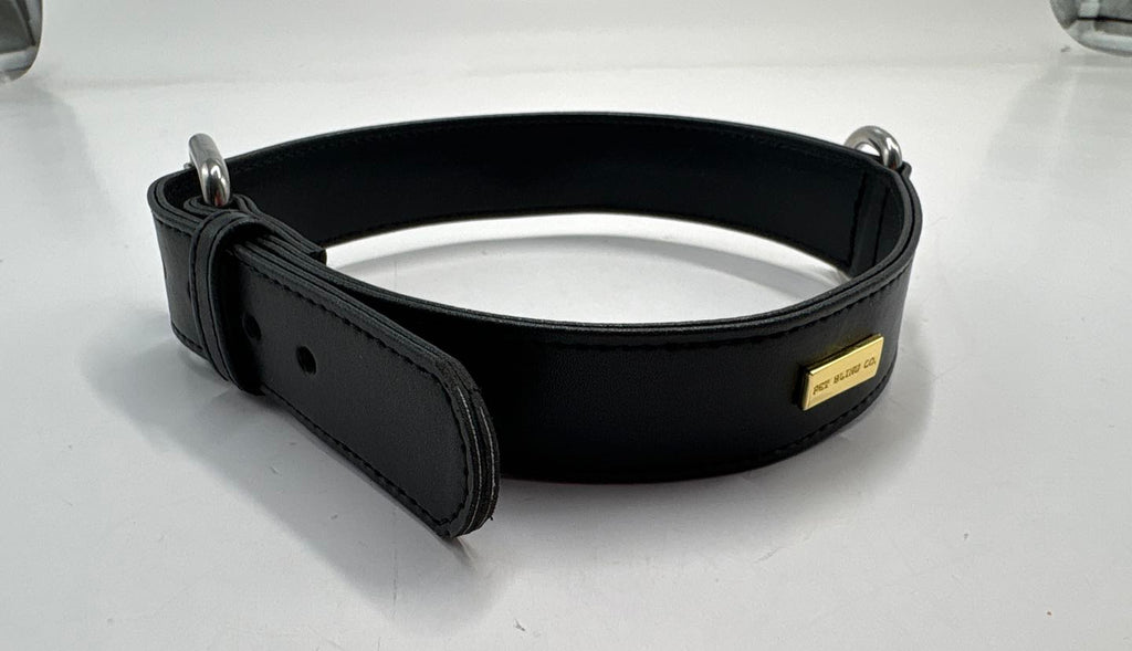 Black leather collar with a gold tag on a white background